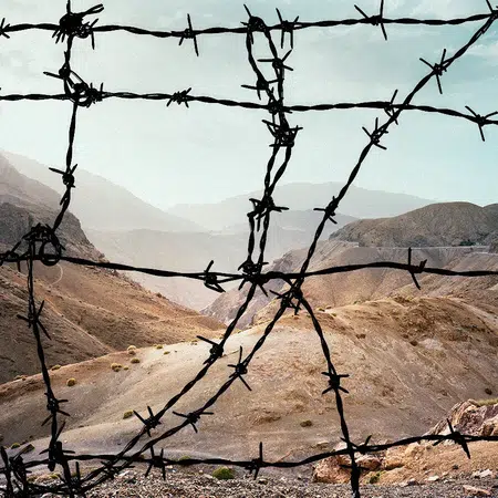 Picture of the author