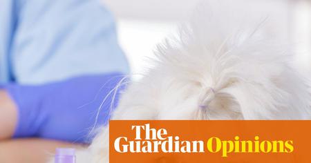 Picture of the author