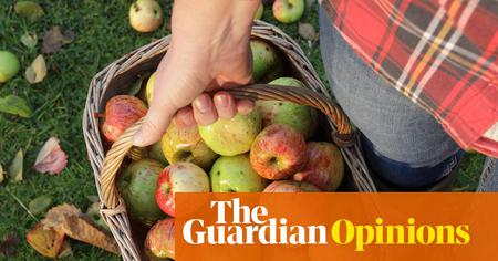 Picture of the author