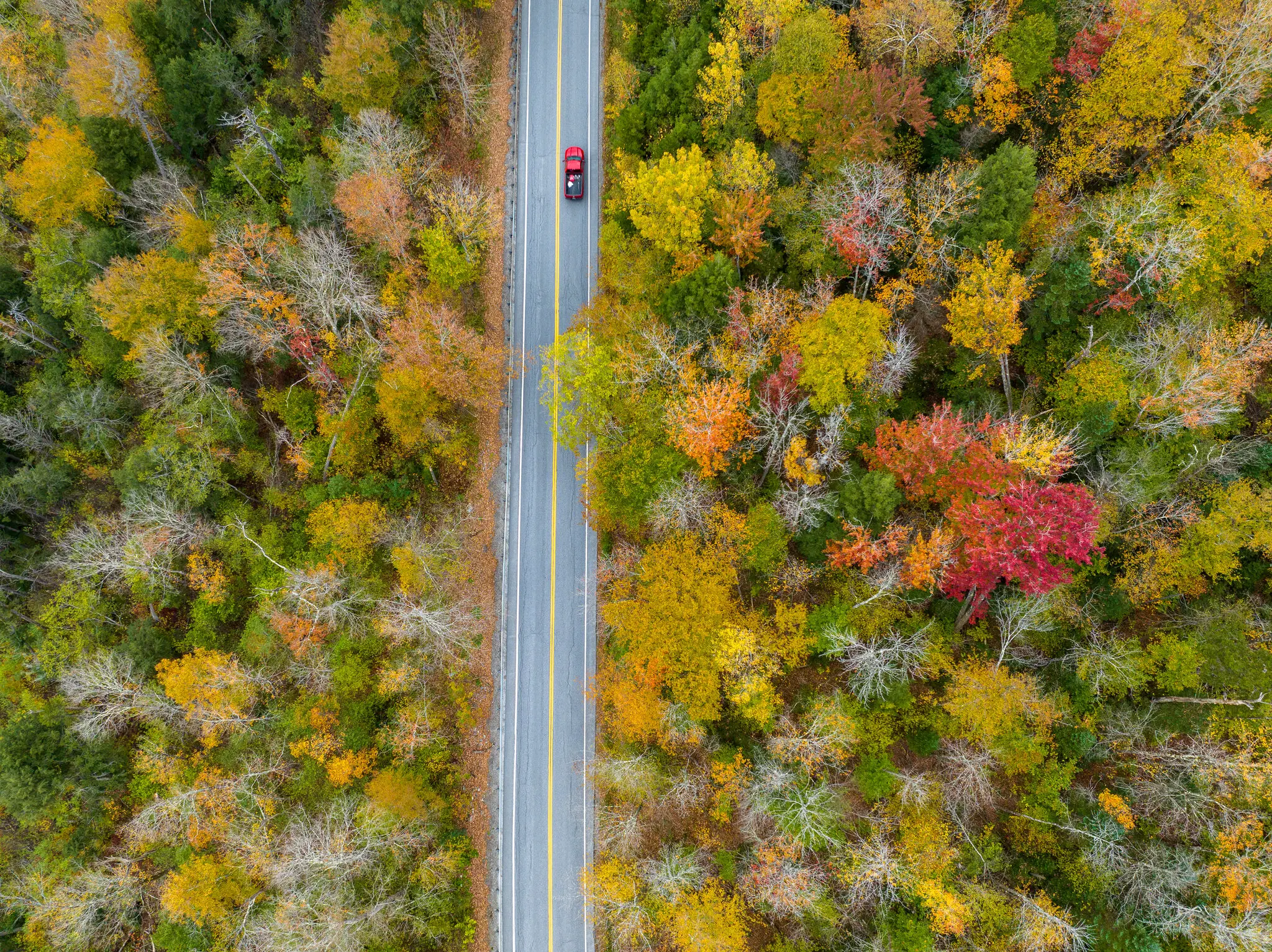Fall foliage in Vermont in 2023.