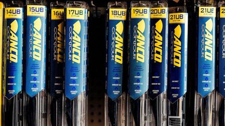 Picture of the author