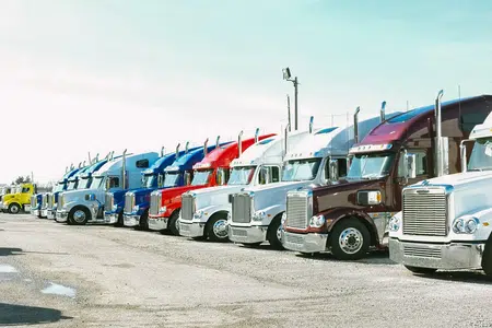 Picture of the author