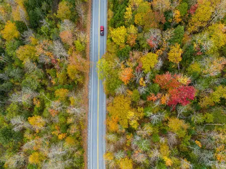 Picture of the author