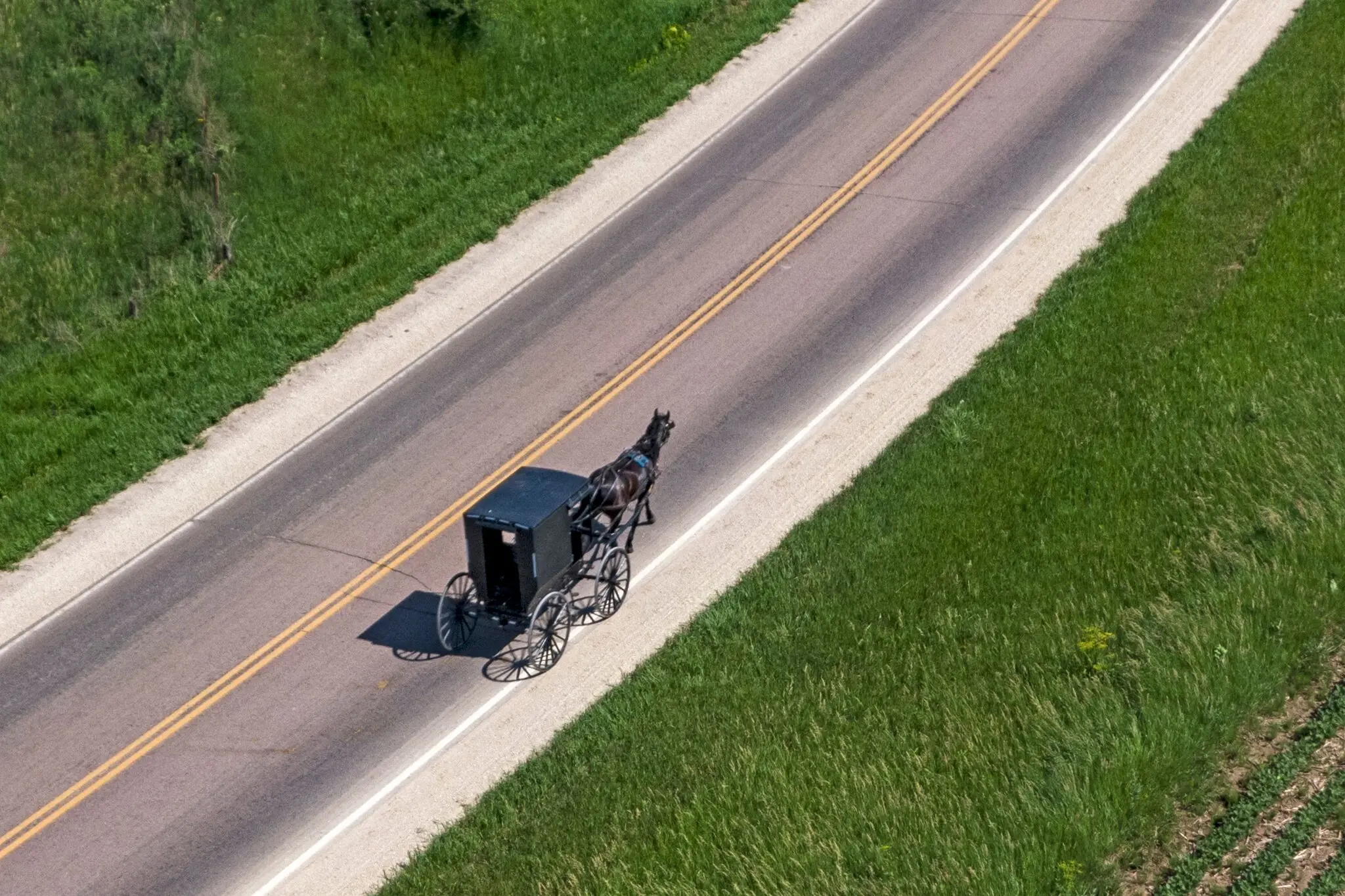 A Minnesota woman who tried to have her twin sister take the blame for a fatal Amish buggy crash was sentenced this week to four years in state prison.