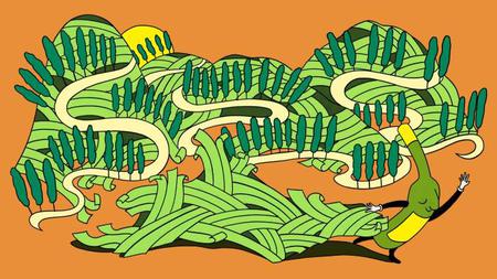 Picture of the author