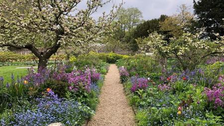 Picture of the author