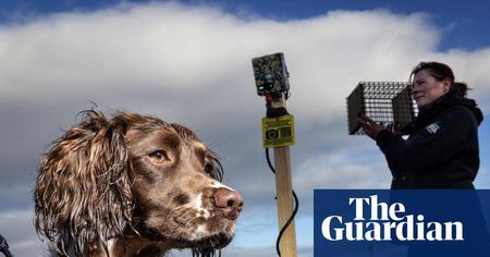 Picture of the author