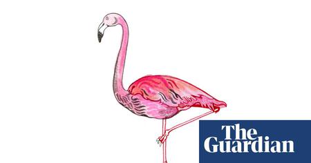 Picture of the author