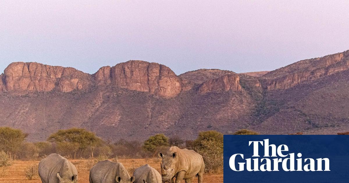 World’s landscapes may soon be ‘devoid of wild animals’, says nature photographer