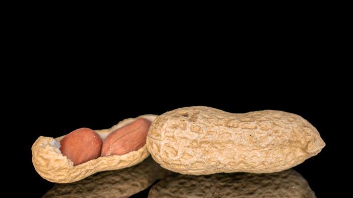 Early peanut exposure found to cut food allergy risks