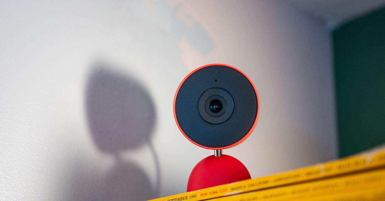 Gemini in Google Home Keeps Mistaking My Dog for a Cat