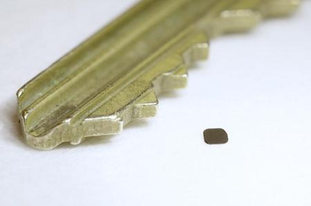 Picture of the author