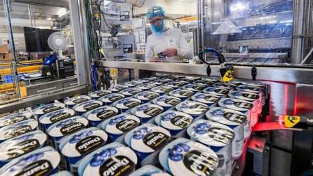 Picture of the author