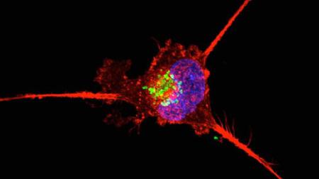 Picture of the author