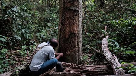 Picture of the author