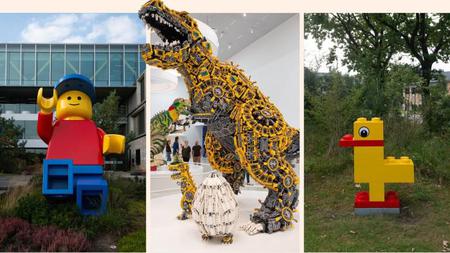 Picture of the author