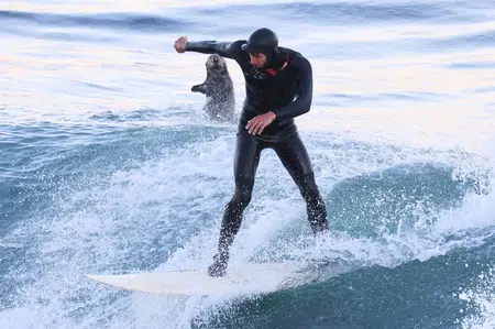 Picture of the author