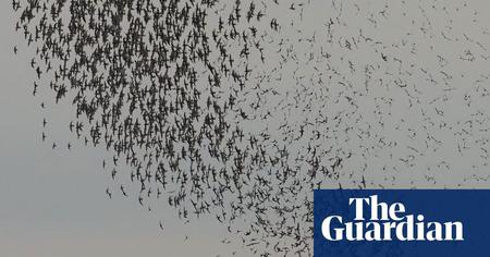 Picture of the author