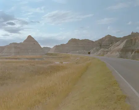 Picture of the author