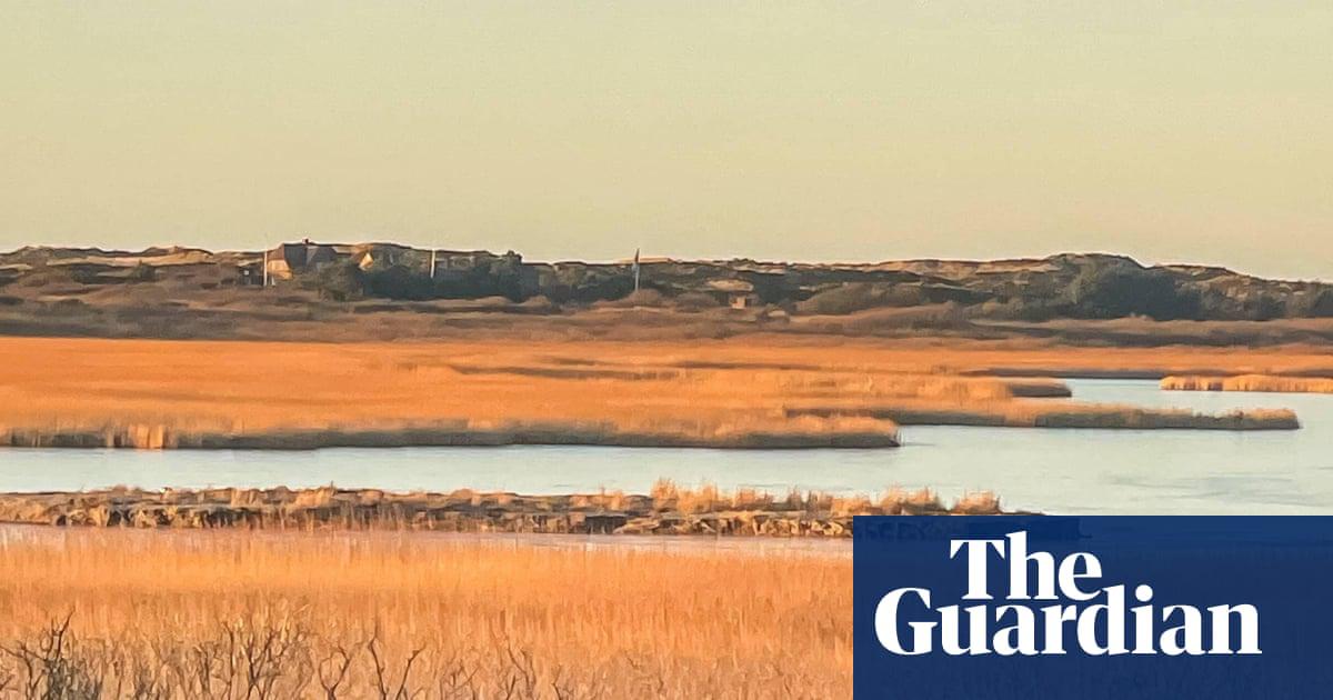 The Wadden Sea nature reserve is recognised by Unesco as an ecosystem ‘where natural processes continue to function largely undisturbed’.