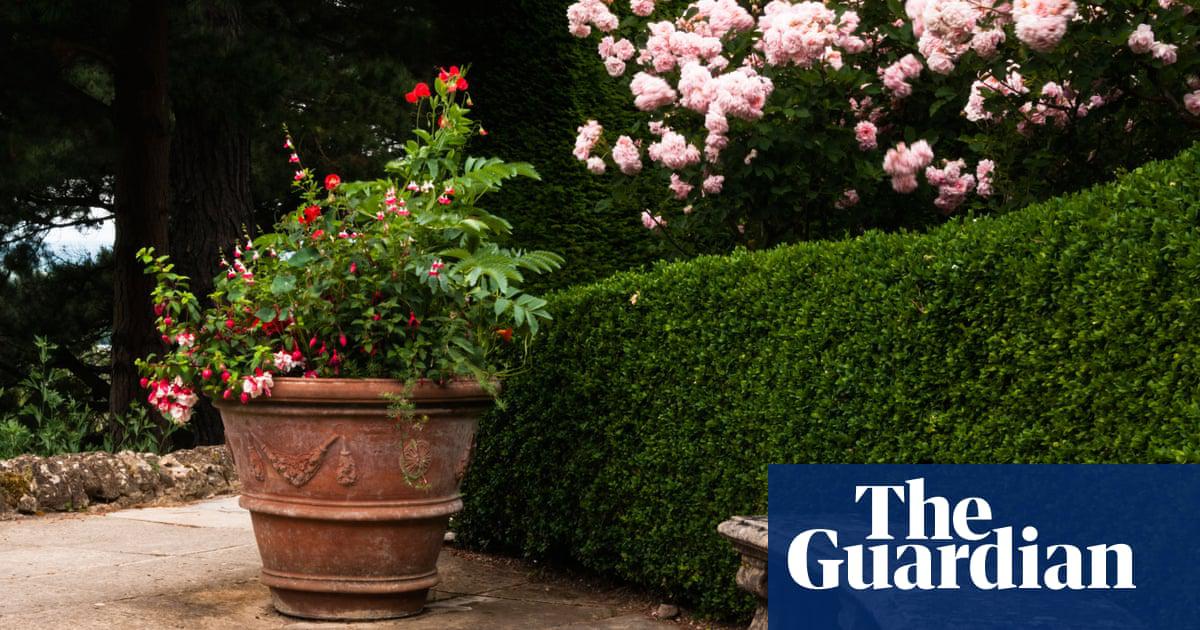 A new study has found that 42% of domestic garden space is paved over.