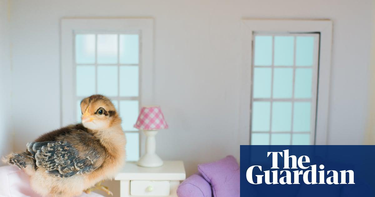 ‘Consumer guarantees are the legal rights you have beyond product warranties, and they cannot be overridden or changed by business policies.’