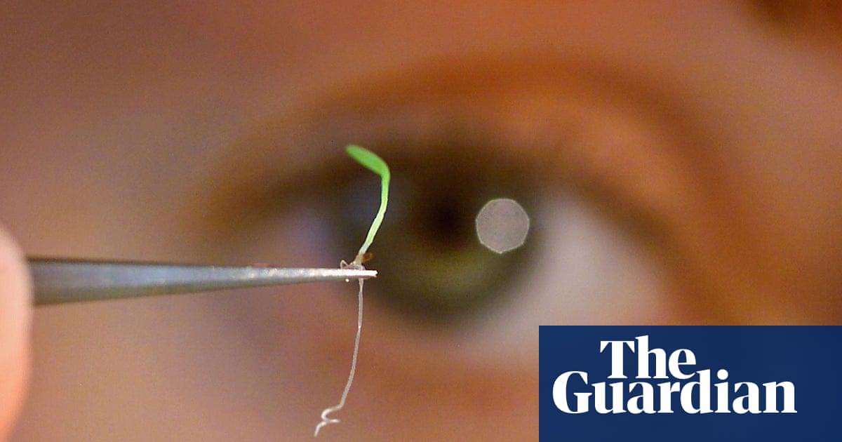 The seed bank storing the planet’s future – podcast