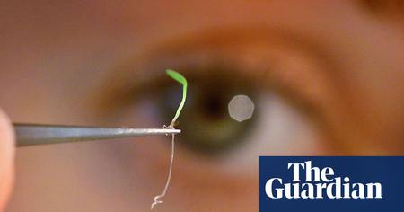 Picture of the author