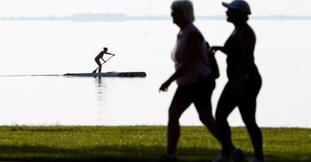 Picture of the author