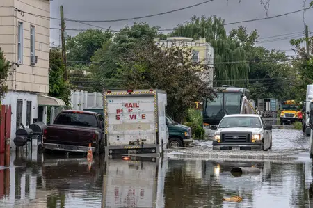 Picture of the author