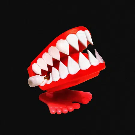 Picture of the author