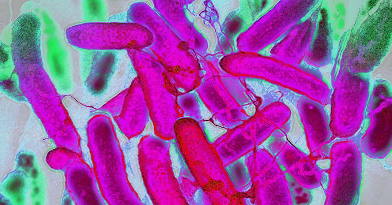 Resistant Bacteria Are Advancing Faster Than Antibiotics