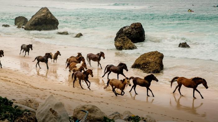 Would you share your favourite beach with us?