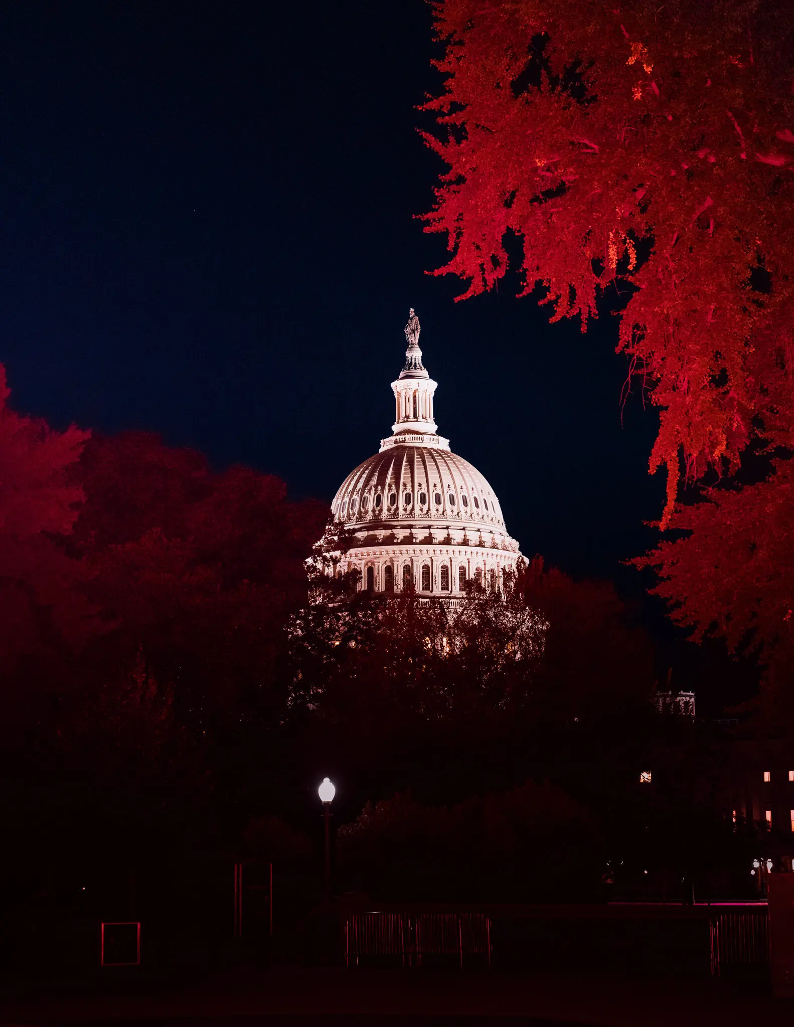 The Real Lesson of the Shutdown: We Need Term Limits