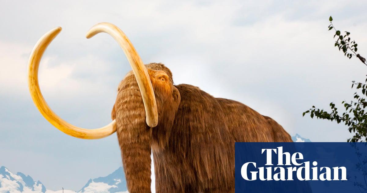SedaDNA reveals that woolly mammoths lived in the Arctic long after they were thought to be extinct from the region.