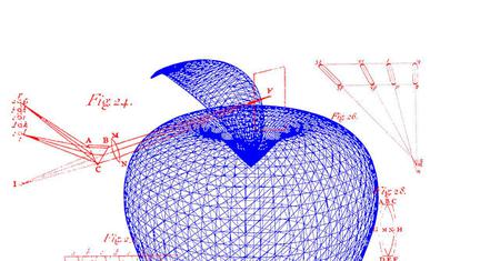 Picture of the author