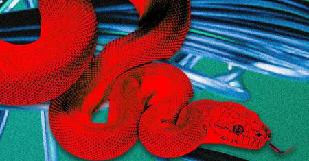 Picture of the author