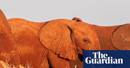 Picture of the author