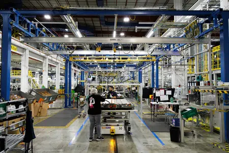 Picture of the author