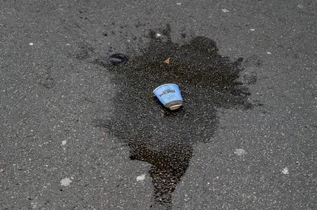 Picture of the author