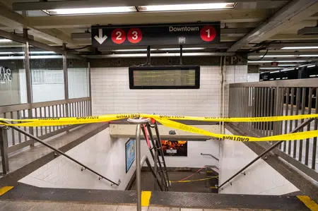 Picture of the author