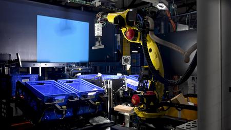 Picture of the author