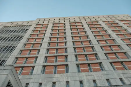 Picture of the author