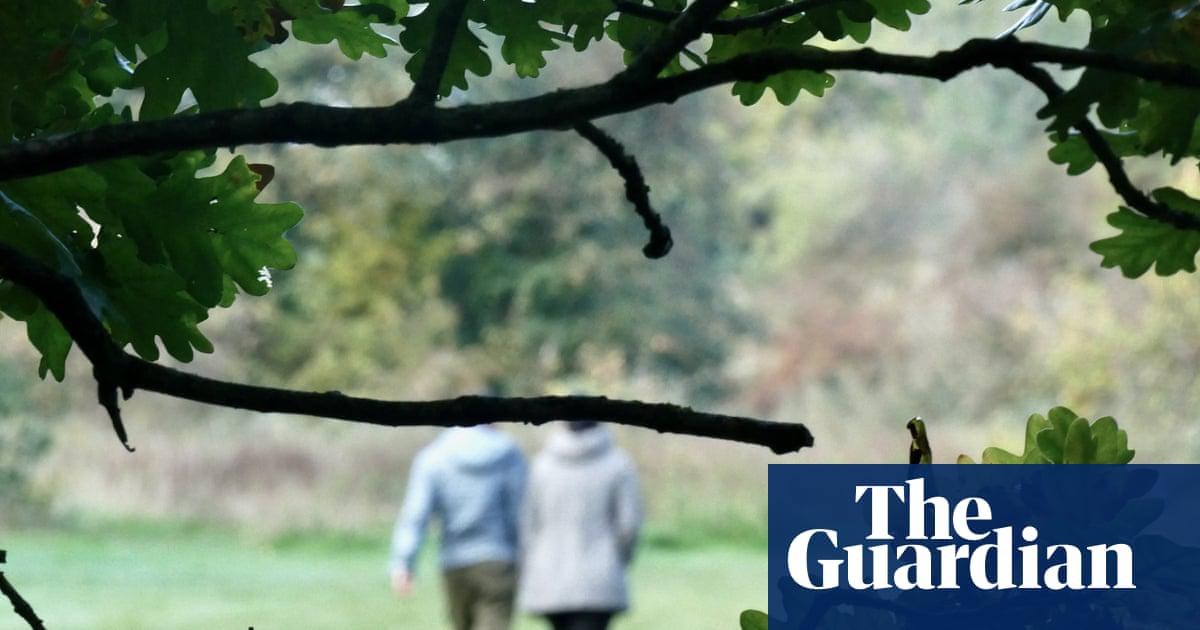 UK campaigners launch bill to give nature legal rights