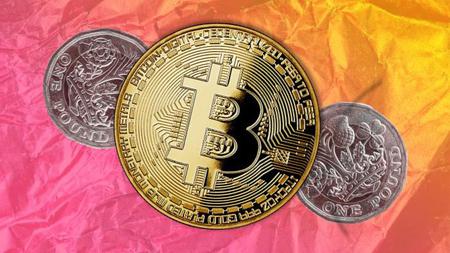 Picture of the author