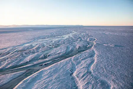 Picture of the author