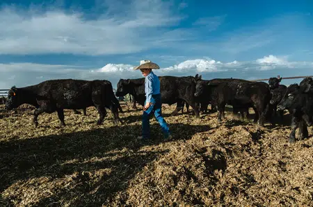 Picture of the author