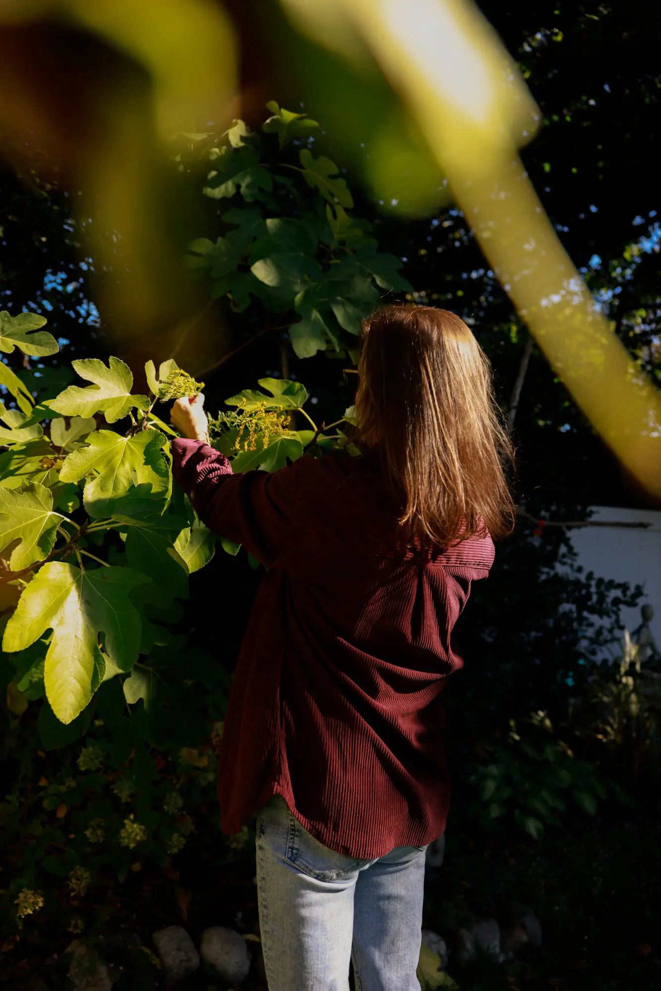 The Long Island woman who was diagnosed with chikungunya virus is an inveterate gardener. Maybe, she thinks, that’s how she was exposed to a mosquito carrying the disease.