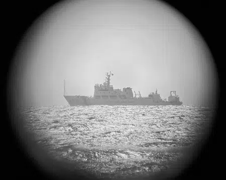 Picture of the author