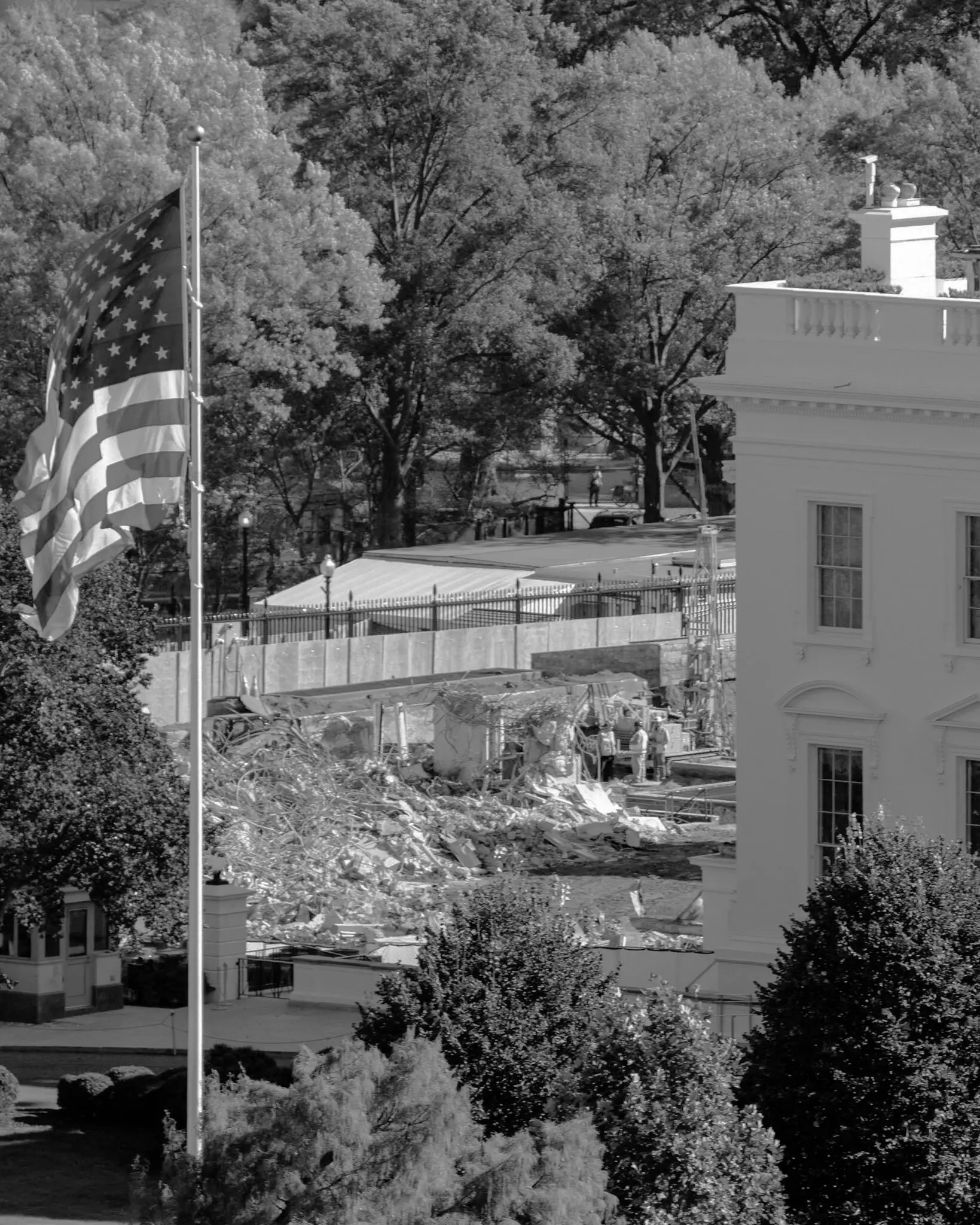 Trump’s Path of Destruction Is Far-Reaching